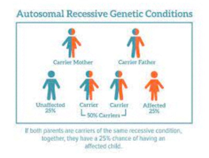What is Carrier Testing and why is it Important? Simple Steps Fertility