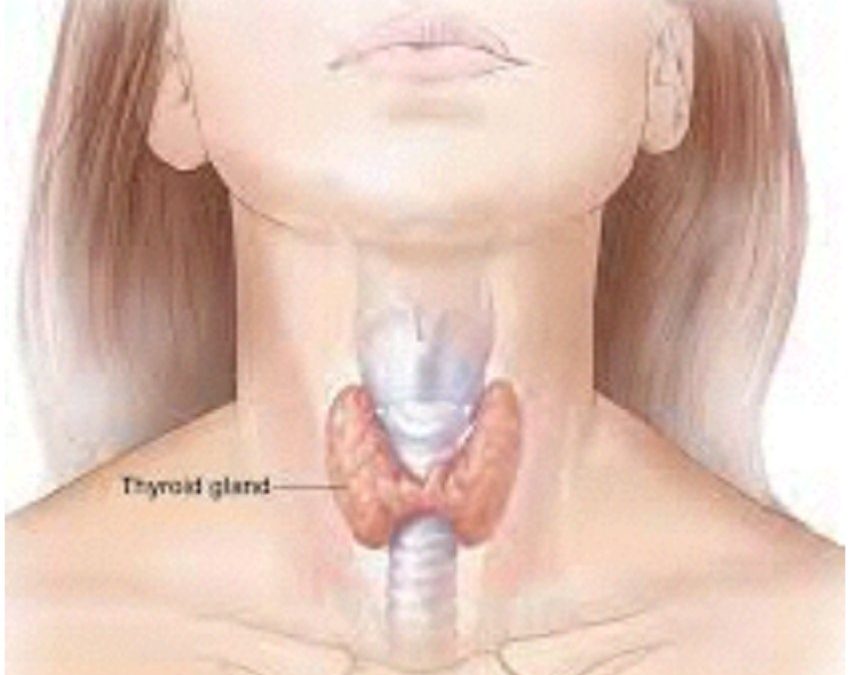 Check your Thyroid