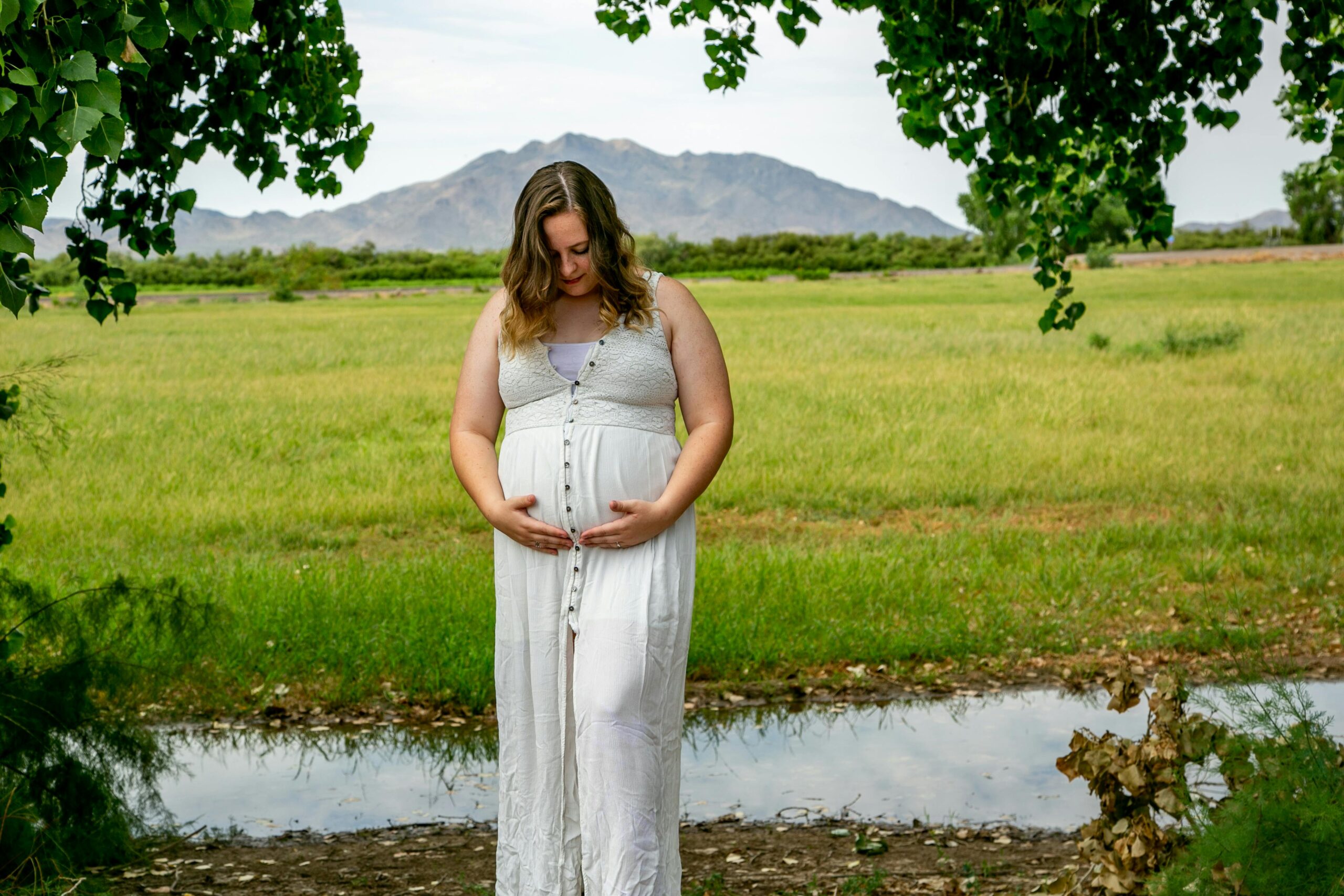 surrogacy agency