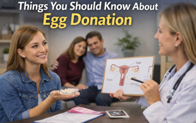 Understanding Egg Donation in 2026